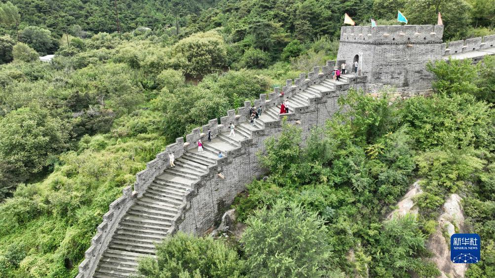 九五至尊网站